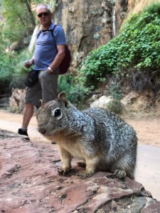 Bobs Kollege im Zion NP