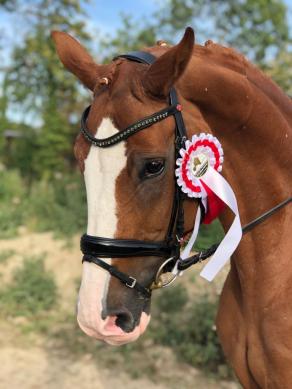 458d2de9-c6aa-4781-ae73-cafe13635e90